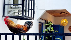 Les extérieurs du havre de paix Odza Yaoundé